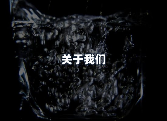 关于我们