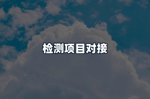 检测项目对接
